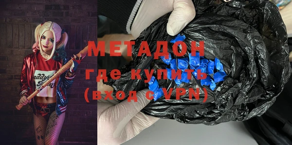прущие грибы Абаза