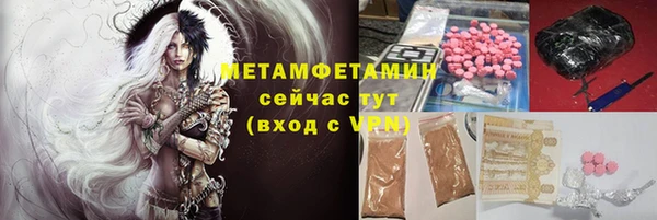 прущие грибы Абаза